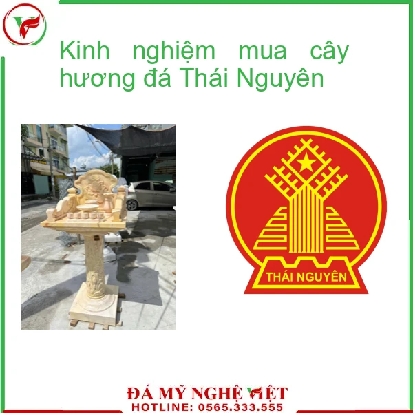 Kinh nghiệm mua cây hương đá Thái Nguyên-f2-2041